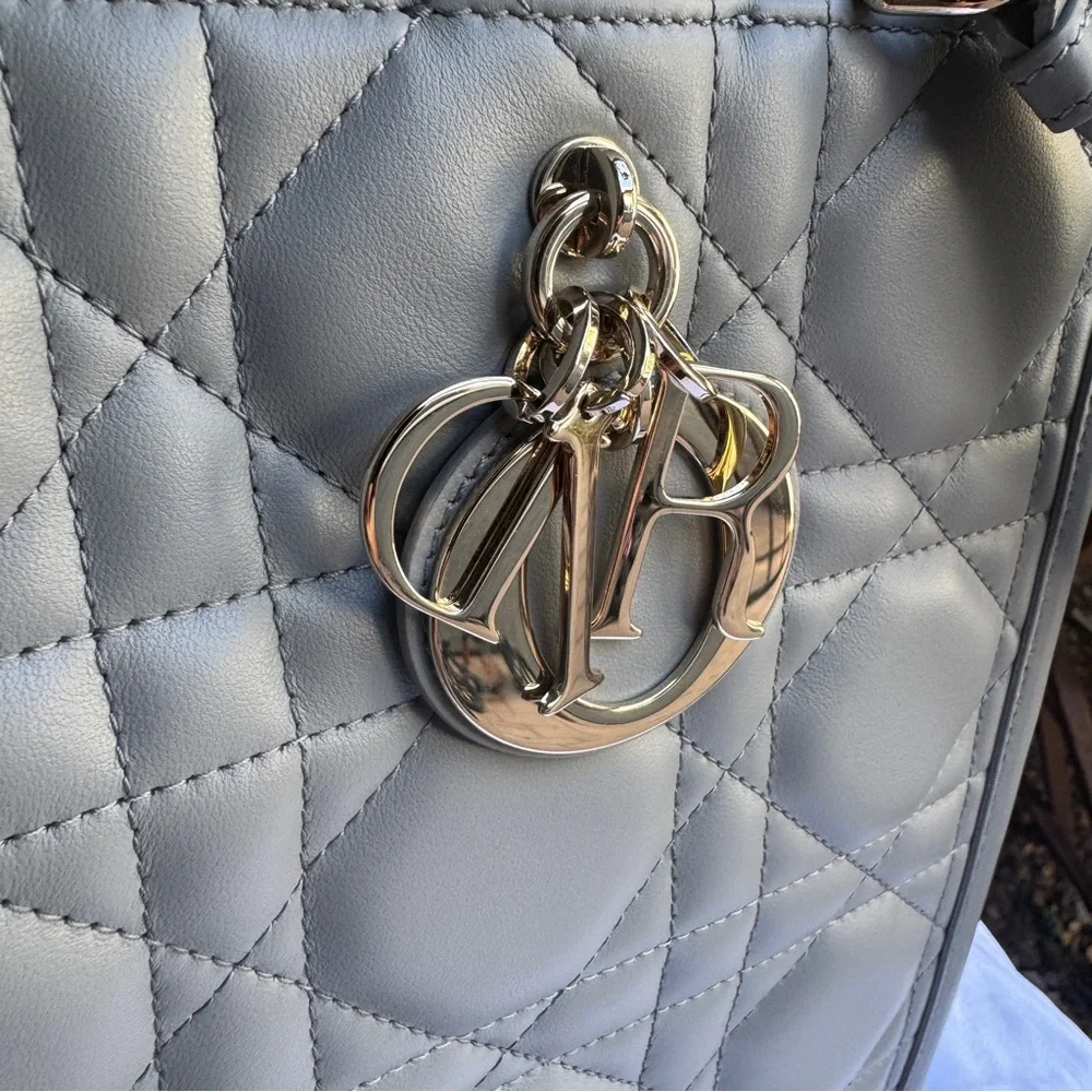 Dior christian calfskin